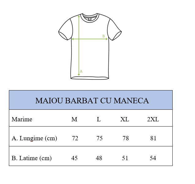 Tricou de casa (decolteu in V / Barbati)